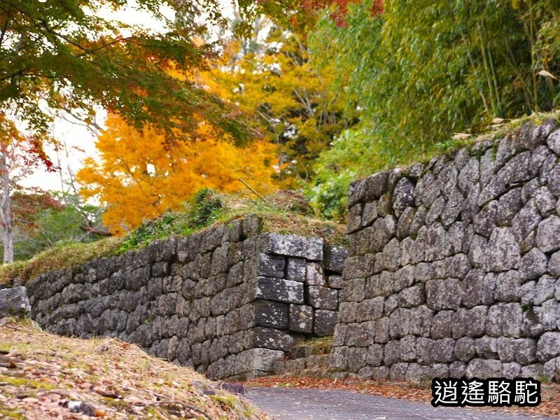 下原門(しもばるもん)跡(岡城跡)-日本駱駝