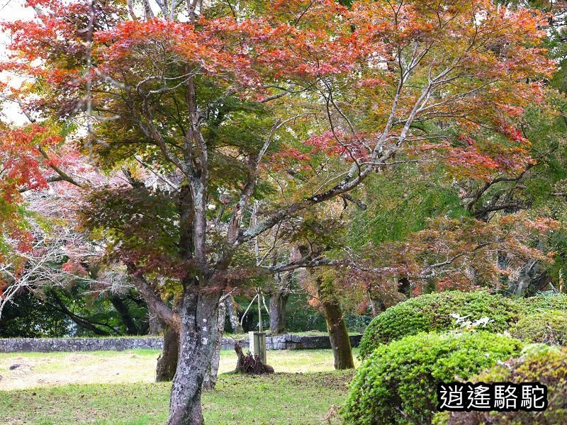 下原門(しもばるもん)跡(岡城跡)-日本駱駝