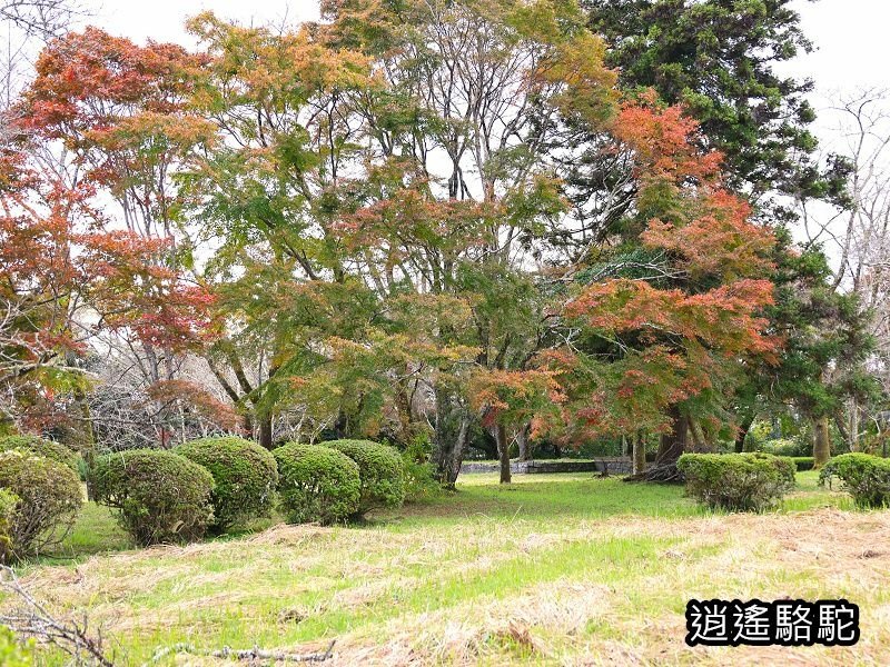 下原門(しもばるもん)跡(岡城跡)-日本駱駝