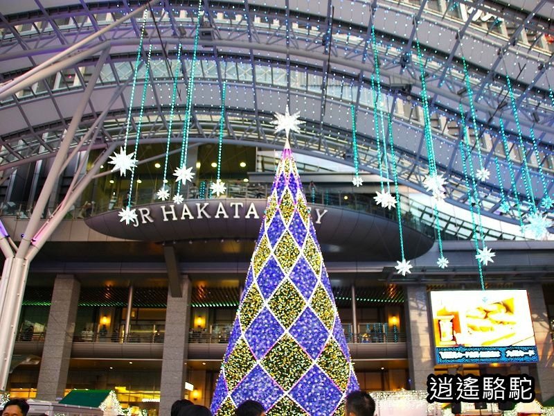 博多駅(36ぷらす3日曜日青の路)-日本駱駝