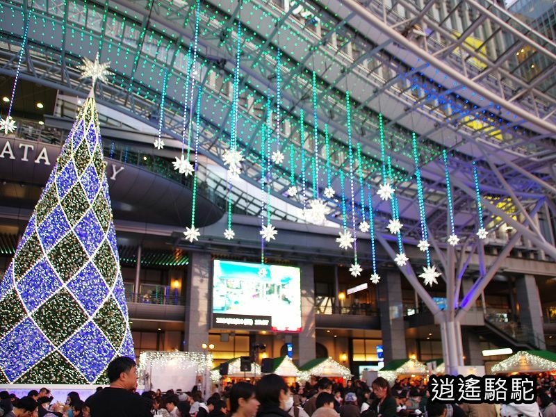 博多駅(36ぷらす3日曜日青の路)-日本駱駝