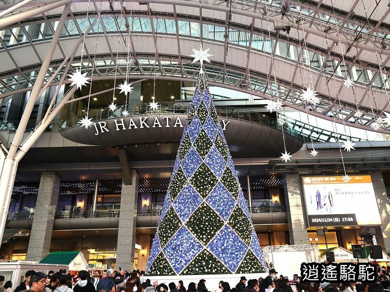 博多駅(36ぷらす3日曜日青の路)-日本駱駝