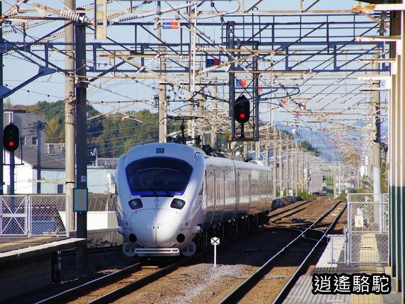 博多駅→中津駅（大分）-日本駱駝