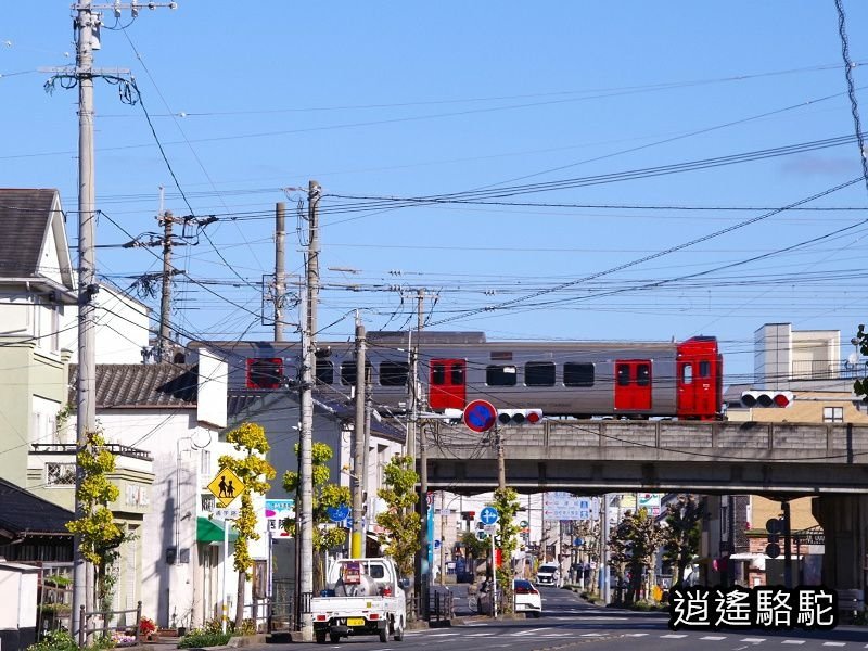 博多駅→中津駅（大分）-日本駱駝