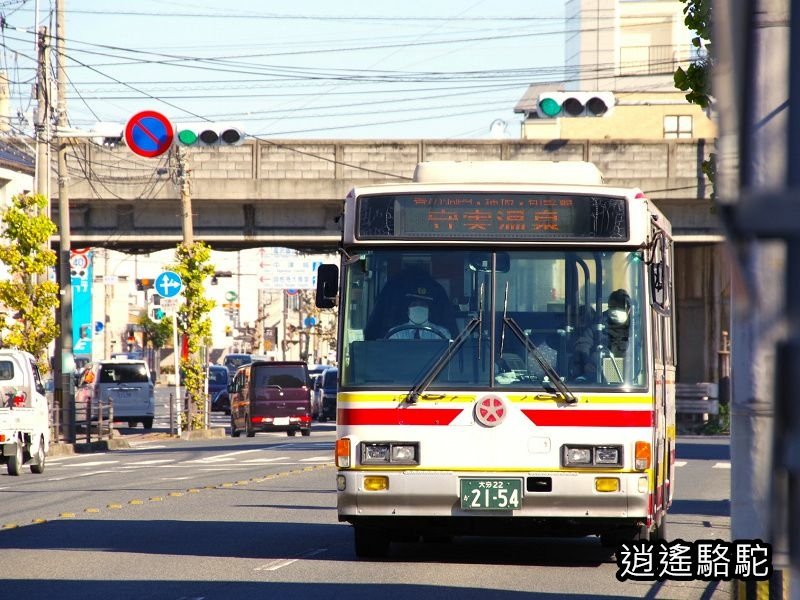 博多駅→中津駅（大分）-日本駱駝