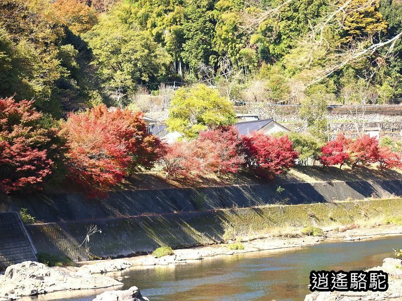 耶馬溪自行車總站(サイクリングターミナル)-日本駱駝