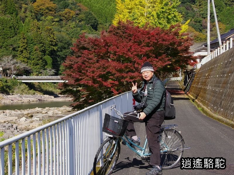 耶馬溪自行車總站(サイクリングターミナル)-日本駱駝