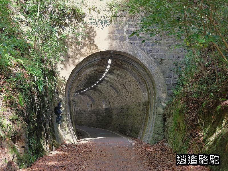 第二山國川橋(耶馬溪自行車道)-日本駱駝