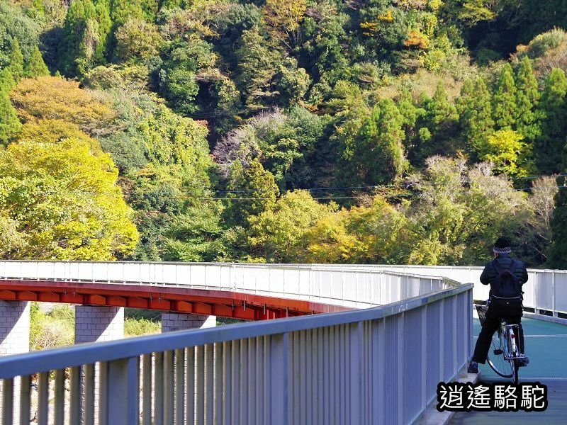 第二山國川橋(耶馬溪自行車道)-日本駱駝