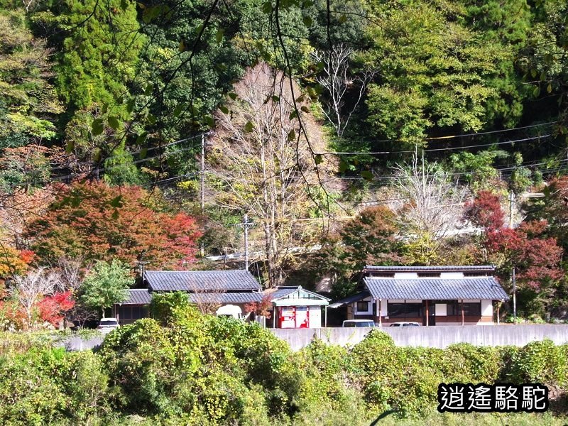 第二山國川橋(耶馬溪自行車道)-日本駱駝