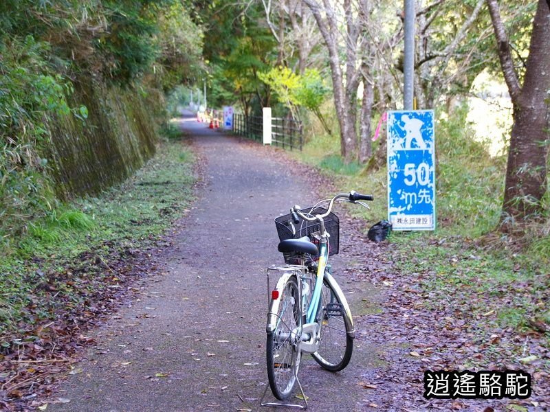 第二山國川橋(耶馬溪自行車道)-日本駱駝