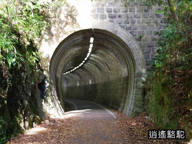 第二山國川橋(耶馬溪自行車道)-日本駱駝