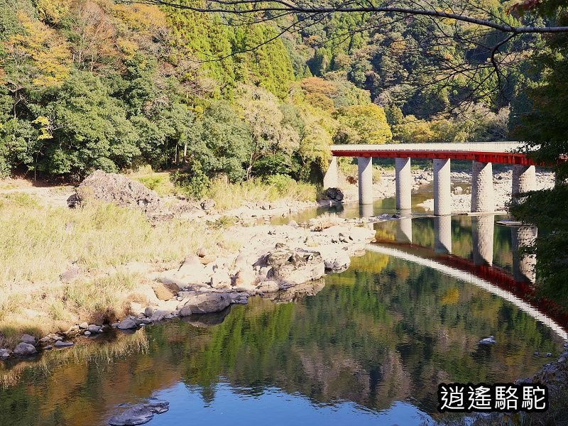 第二山國川橋(耶馬溪自行車道)-日本駱駝