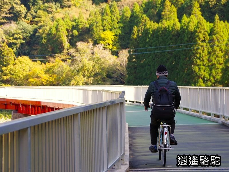 第二山國川橋(耶馬溪自行車道)-日本駱駝