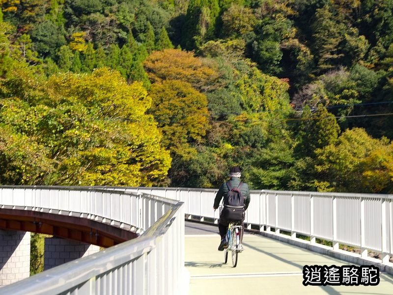 第二山國川橋(耶馬溪自行車道)-日本駱駝