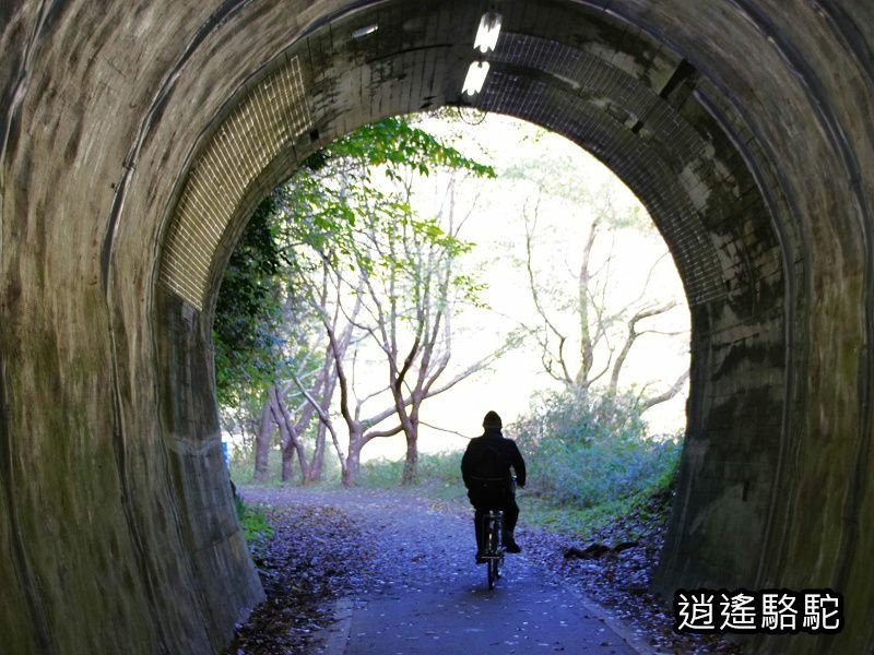 第二山國川橋(耶馬溪自行車道)-日本駱駝