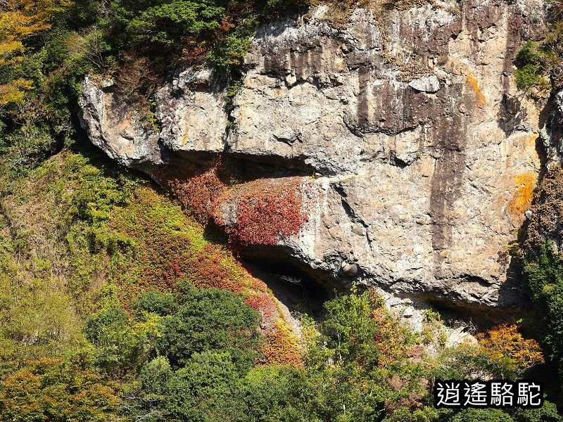 第二山國川橋(耶馬溪自行車道)-日本駱駝