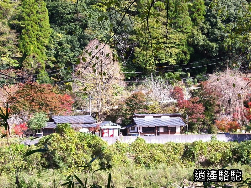 第二山國川橋(耶馬溪自行車道)-日本駱駝