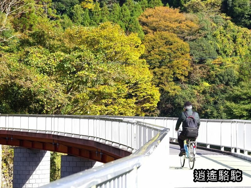 第二山國川橋(耶馬溪自行車道)-日本駱駝