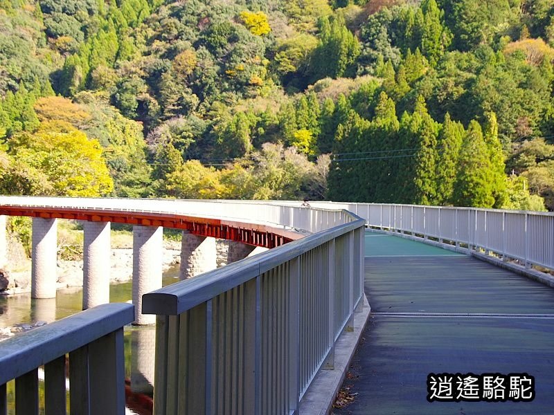 第二山國川橋(耶馬溪自行車道)-日本駱駝