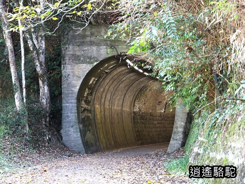 第二山國川橋(耶馬溪自行車道)-日本駱駝