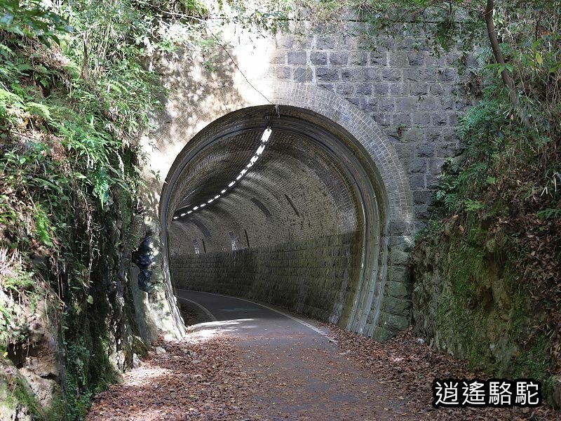 第二山國川橋(耶馬溪自行車道)-日本駱駝