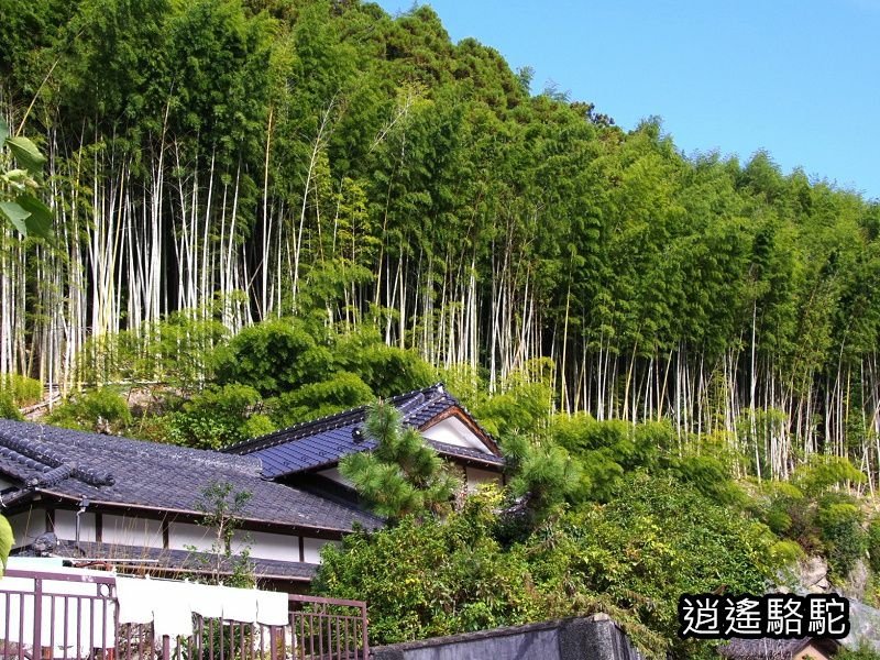 烏帽子岳、紅楓(耶馬溪自行車道)-日本駱駝