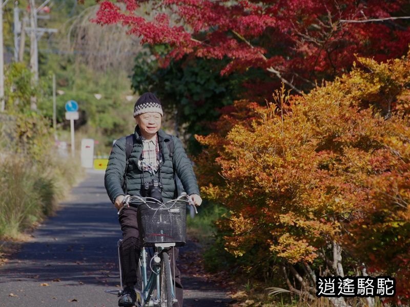 烏帽子岳、紅楓(耶馬溪自行車道)-日本駱駝