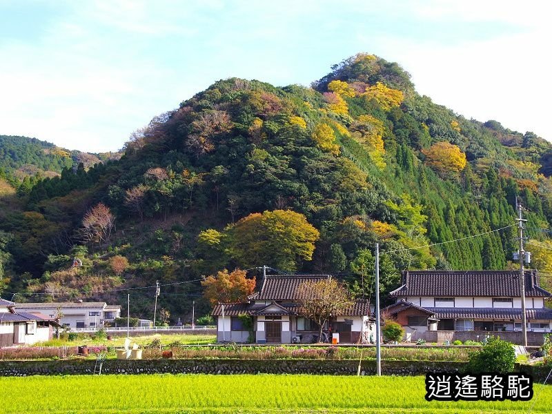 岩洞山の景(耶馬溪自行車道)-日本駱駝