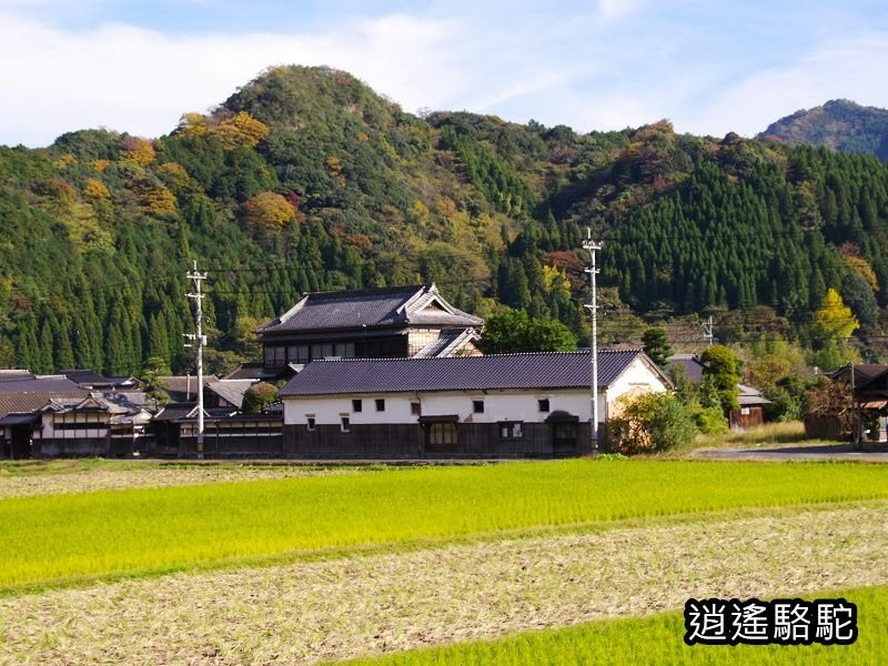 岩洞山の景(耶馬溪自行車道)-日本駱駝