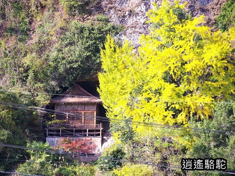 岩洞山の景(耶馬溪自行車道)-日本駱駝