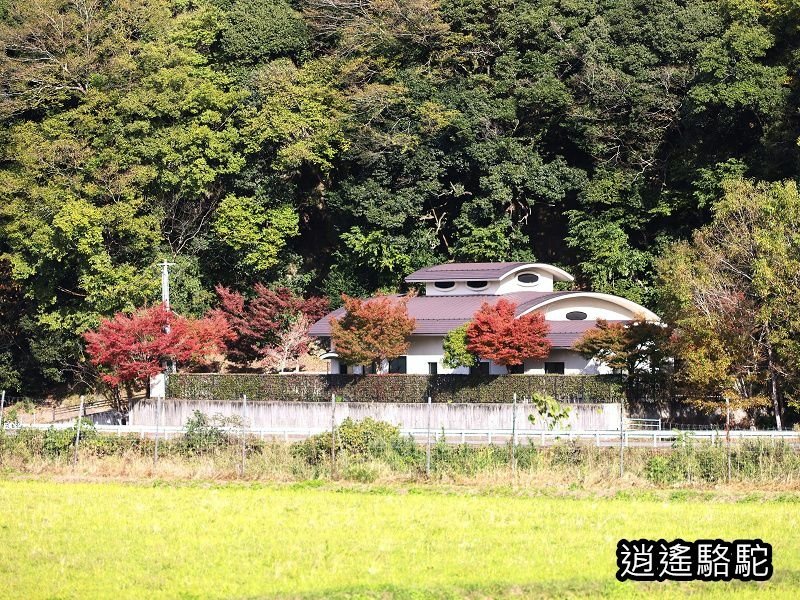 岩洞山の景(耶馬溪自行車道)-日本駱駝