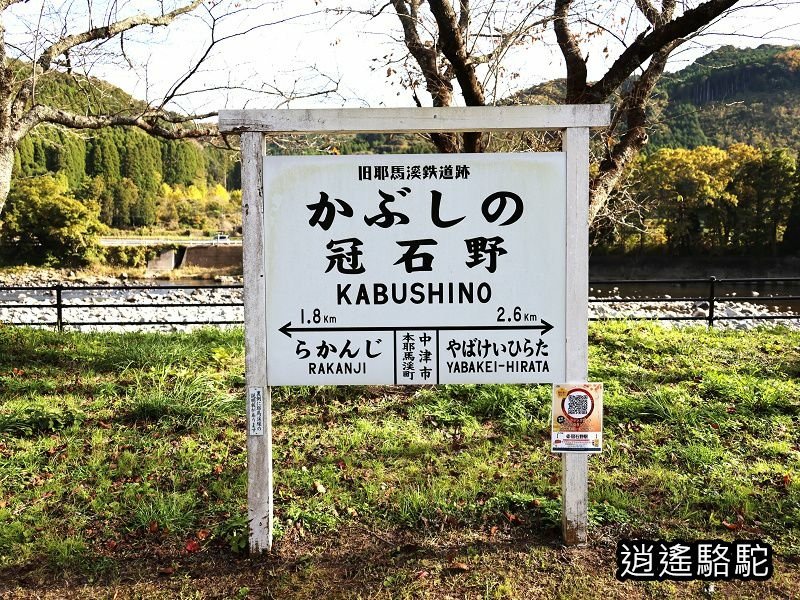 冠石野駅跡看不到櫻花只見烏鴉在洗澡-日本駱駝