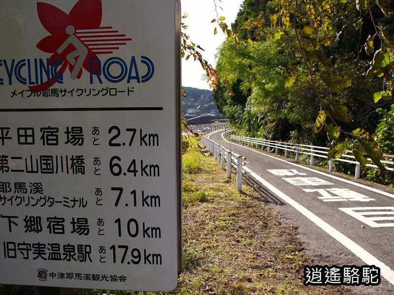 冠石野駅跡看不到櫻花只見烏鴉在洗澡-日本駱駝