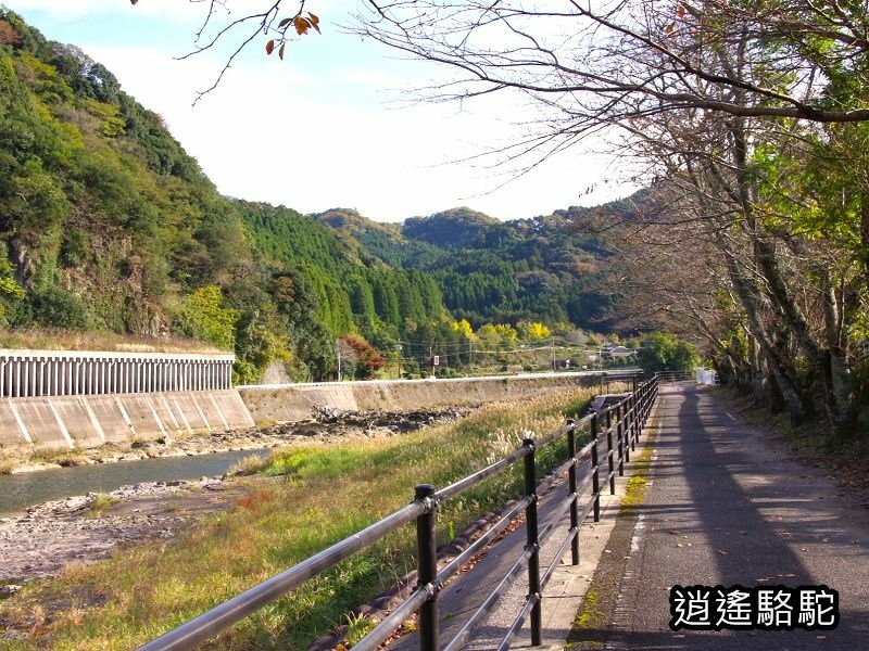 冠石野駅跡看不到櫻花只見烏鴉在洗澡-日本駱駝