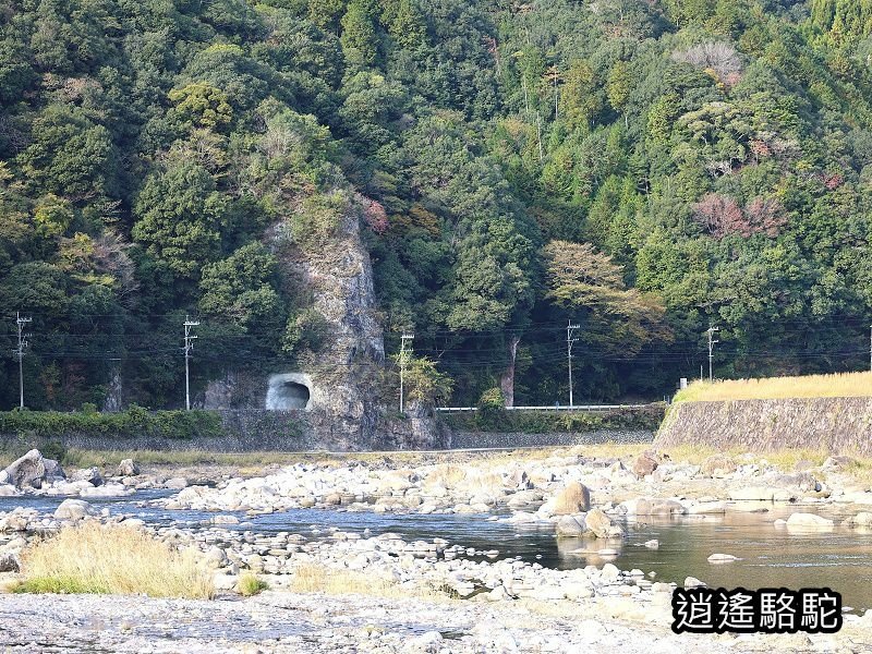 冠石野駅跡看不到櫻花只見烏鴉在洗澡-日本駱駝