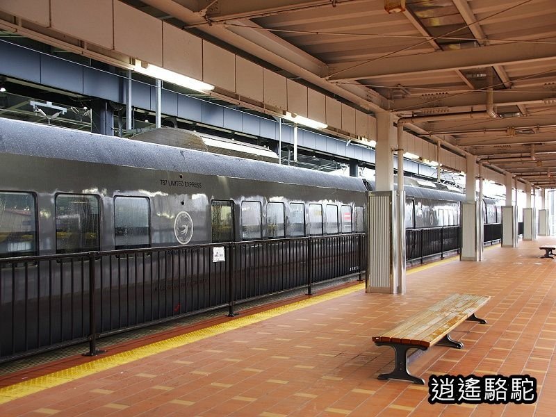 搭豪斯登堡特急到武雄溫泉駅-日本駱駝