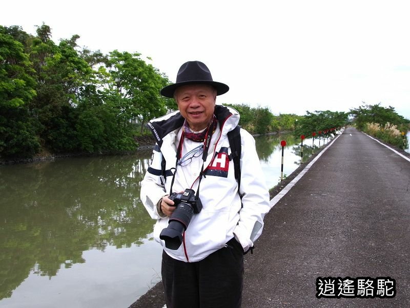 下坔仔橋打鳥-宜蘭駱駝