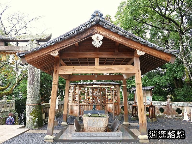 歷史悠久的武雄神社-日本駱駝