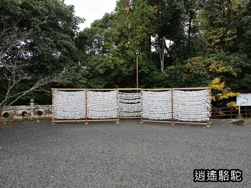 歷史悠久的武雄神社-日本駱駝