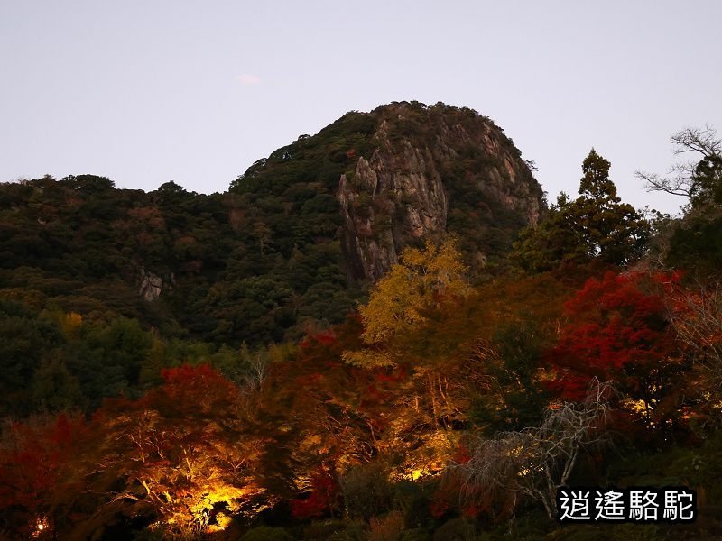 鍋島茂義別邸庭園(御船山樂園)-日本駱駝