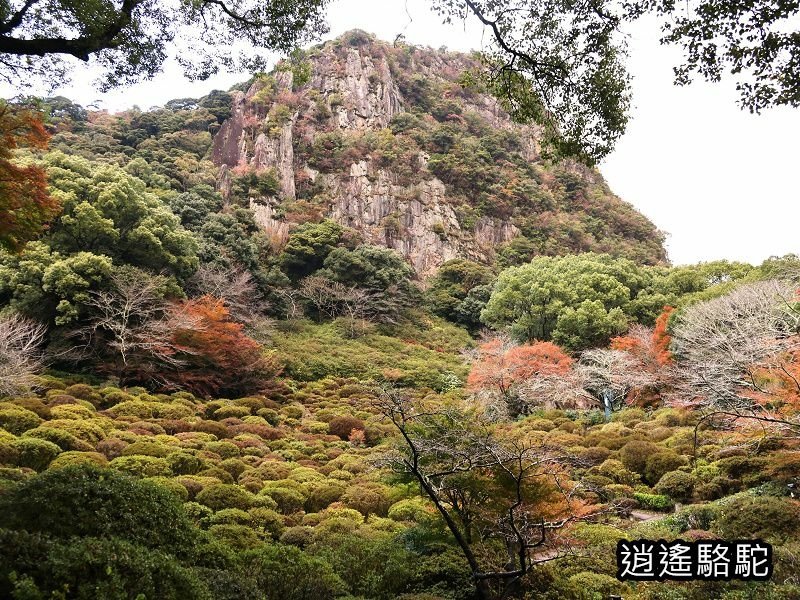 鍋島茂義別邸庭園(御船山樂園)-日本駱駝