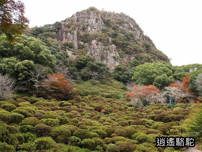 鍋島茂義別邸庭園(御船山樂園)-日本駱駝