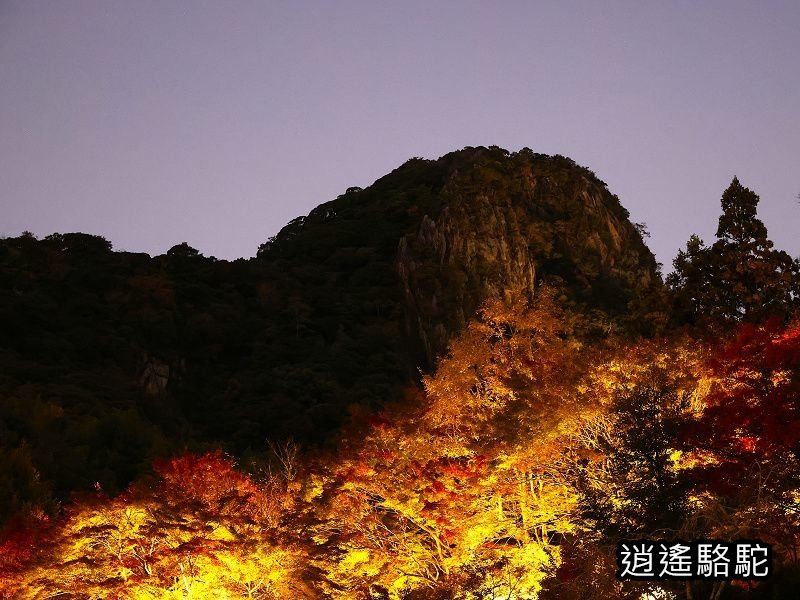 鍋島茂義別邸庭園(御船山樂園)-日本駱駝