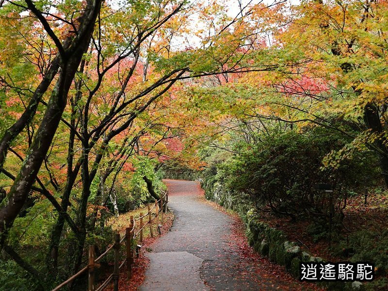 鍋島茂義別邸庭園(御船山樂園)-日本駱駝