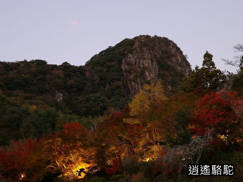 鍋島茂義別邸庭園(御船山樂園)-日本駱駝