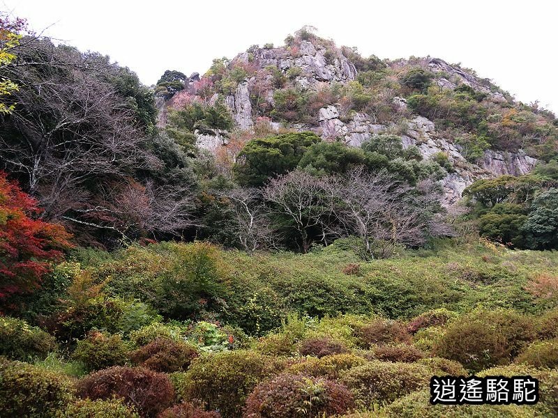 鍋島茂義別邸庭園(御船山樂園)-日本駱駝