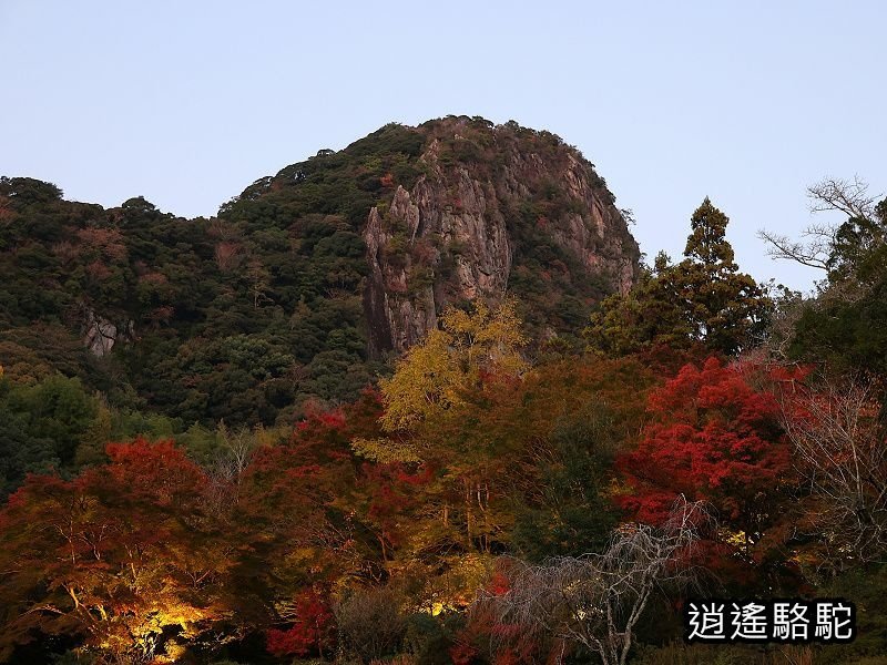 鍋島茂義別邸庭園(御船山樂園)-日本駱駝