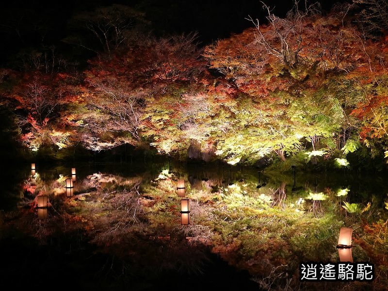 鏡池紅楓夜景(御船山樂園)-日本駱駝