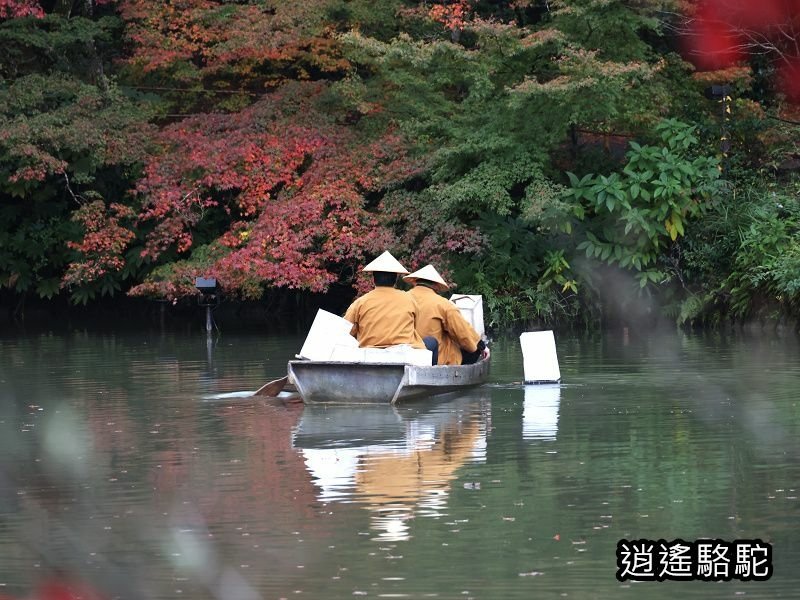 鏡池紅楓夜景(御船山樂園)-日本駱駝